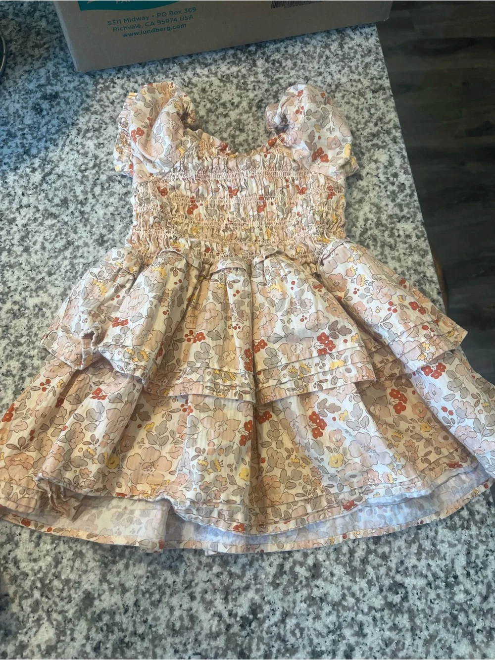 Reserved: Floral Ruffle Smocked Kids Dress - Picture 1 of 1